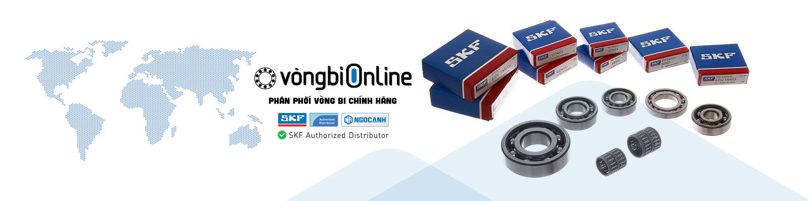 Vòng bi SKF chính hãng